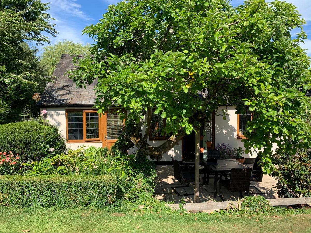 Newton Farmhouse Whiteparish エクステリア 写真