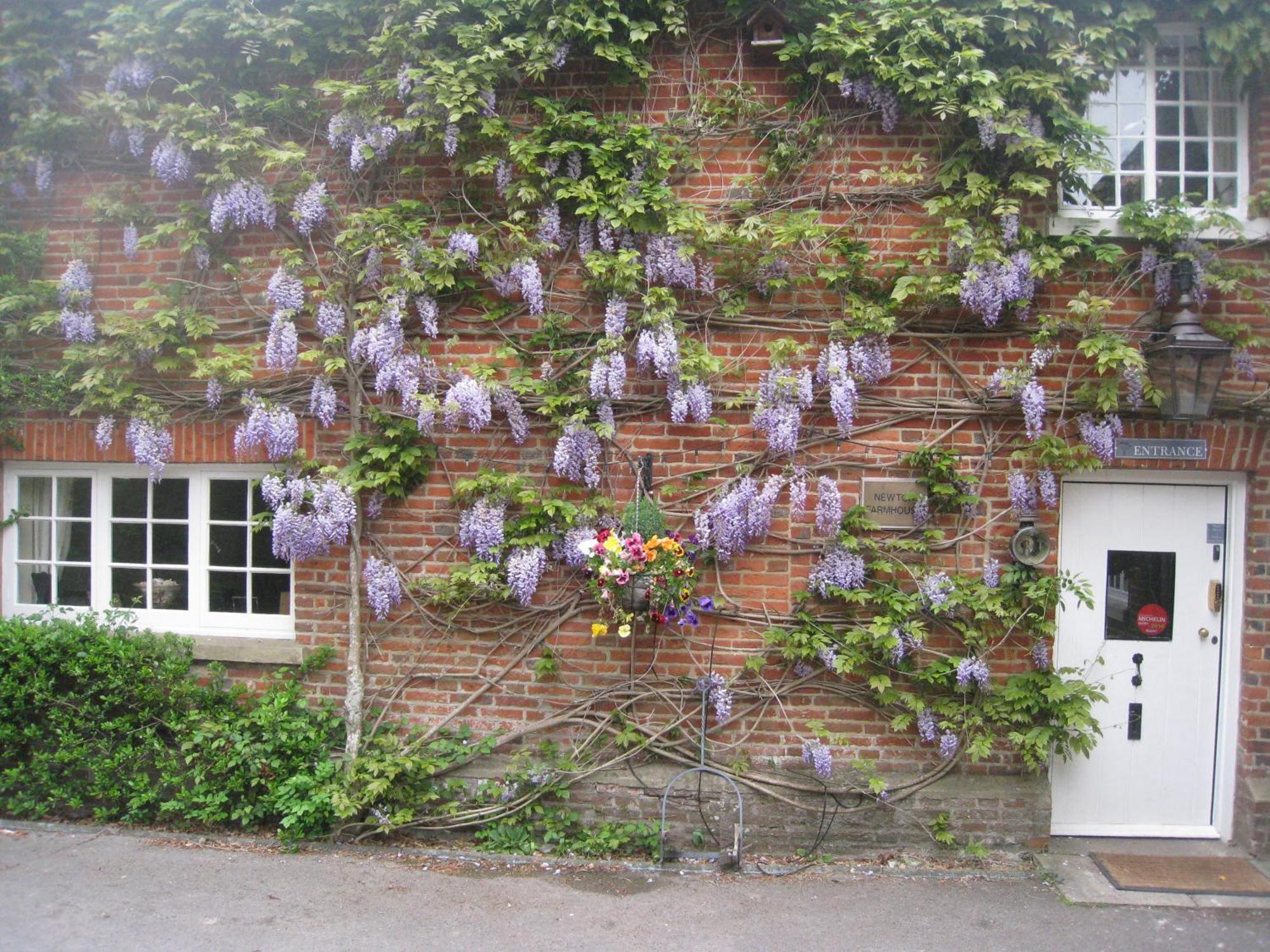 Newton Farmhouse Whiteparish エクステリア 写真